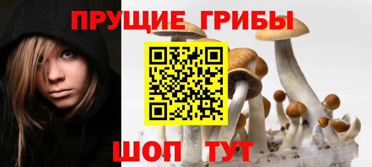Псилоцибиновые грибы Magic Shrooms Новоуральск
