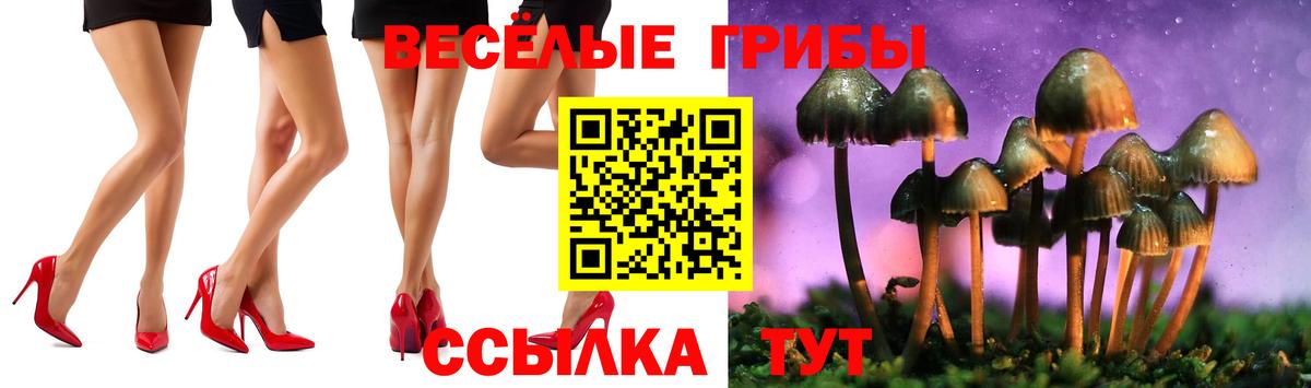 Новоуральск  Псилоцибиновые грибы Psilocybine cubensis  Вход с VPN 